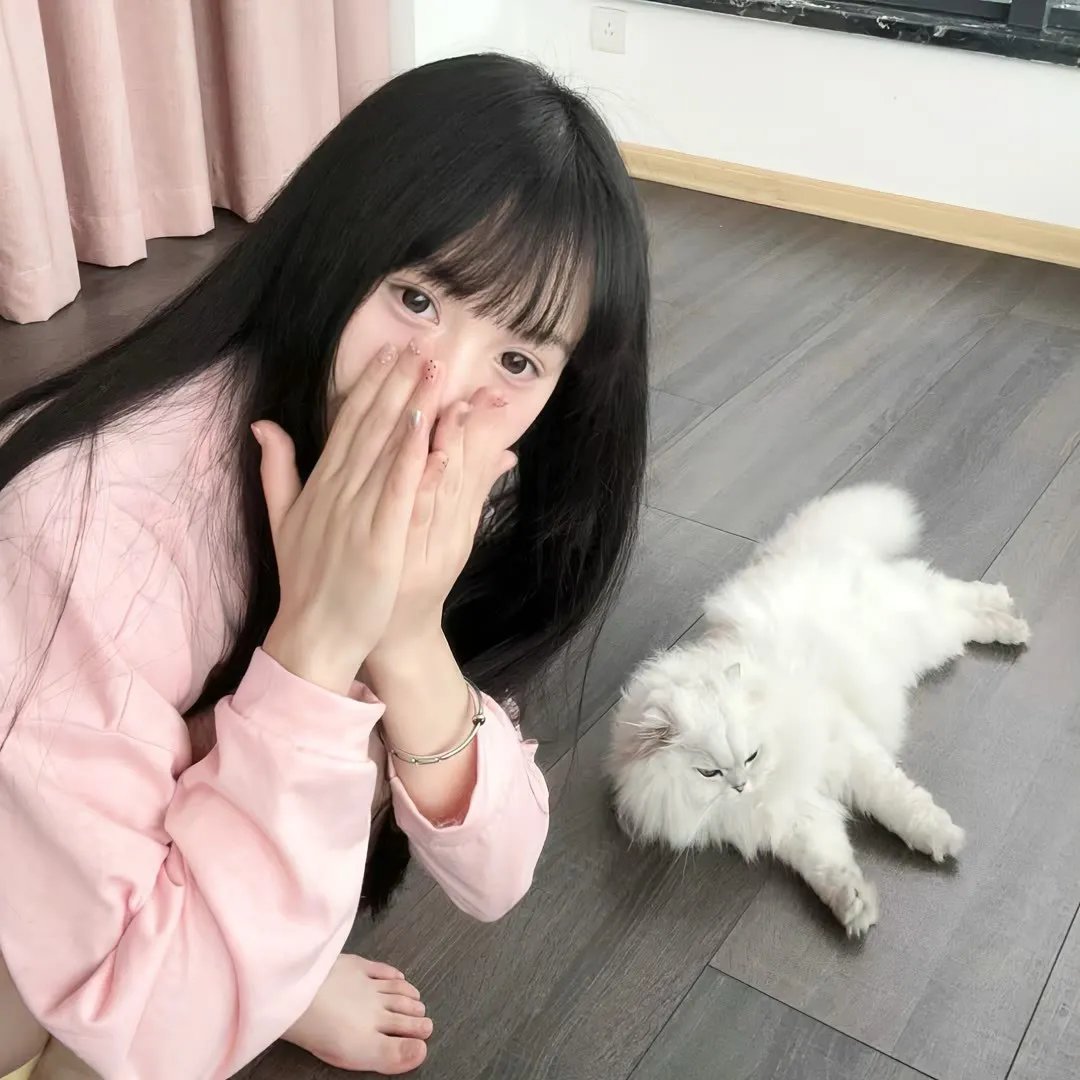狐狸与我